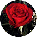 LOLA LÓPEZ LOLA LÓPEZ