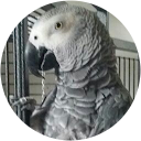 Elsa Ferrer Martinez Elsa Ferrer Martinez