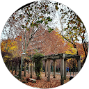 Carmen Arriaza Velasquez Carmen Arriaza Velasquez