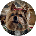 ANGELICA DOMINGUEZ DOMINGUEZ ANGELICA DOMINGUEZ DOMINGUEZ