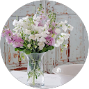 Lucia “Momentos Vintage” Sapena Lucia “Momentos Vintage” Sapena