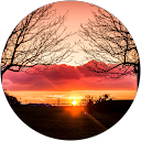 lluch martinez lluch martinez