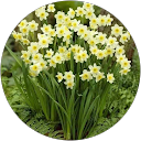 Carmen Moraga Carmen Moraga