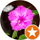 Amparo Pérez Ruiz de Peralta